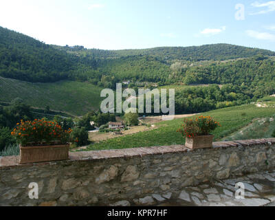 terrace with the view on vineyards in Tuscany Stock Photo
