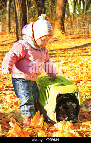 baby plays with her cat in cage in the Autumn park Stock Photo