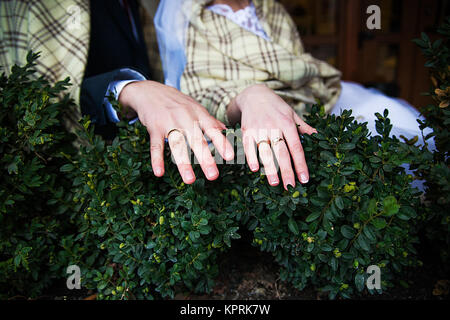 The hands, newly married Stock Photo