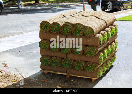 stacks Grass turf in rolls ready to be used for gardening or landscaping of sod rolls for new lawn Stock Photo