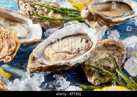 Fresh opened chilled raw oyster on crushed ice with green seaweed shoots and lemon slices for flavoring, focus to a large single succulent oyster in the shell Stock Photo
