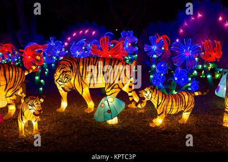 ALBUQUERQUE, NEW MEXICO, USA- NOVEMBER 12,2017: Chinese Lantern Festival lit up at night to celebrate the Chinese New Year Stock Photo