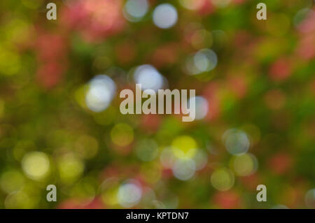Coloured bokeh small predominance of green color Stock Photo