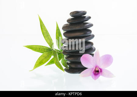 Black zen stones with Dendrobium orchid Stock Photo