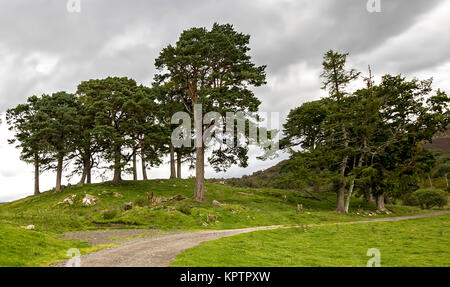 the fictional Craigh na dun, standing stones from amazon primes tv show Outlander. Stock Photo