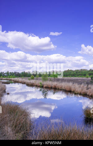 moor landscape Stock Photo