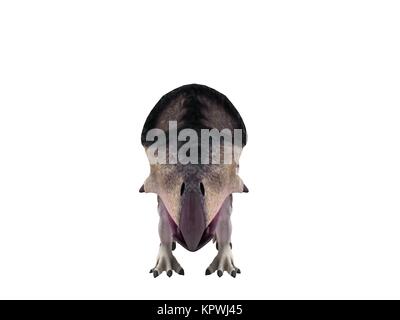 3d render of a Dinosaur inside a white stage Stock Photo