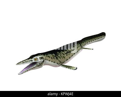 3d render of a crocodile inside a white stage Stock Photo