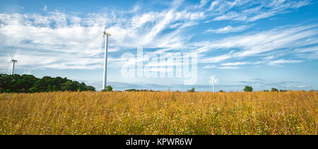 Wind Power Stations in Field Stock Photo