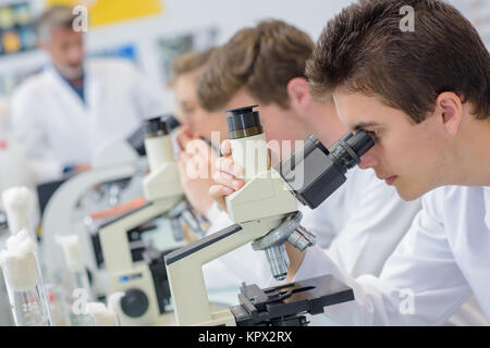 Row of students using microscopes Stock Photo