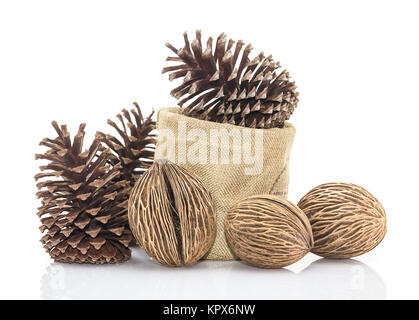 Othalanga - Suicide tree seed and cedar pine cone in sacks fodder Stock Photo