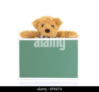 Teddy bear with empty green board Stock Photo