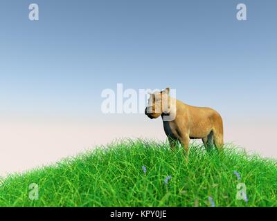 3d animal in the medow Stock Photo