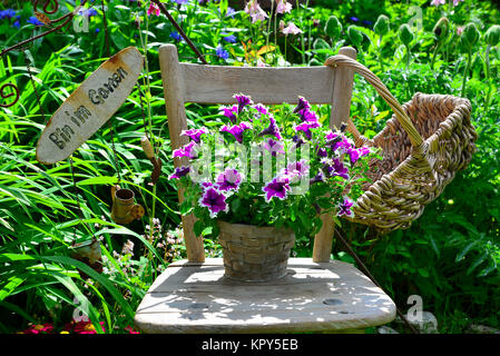 old chair in the garden with flowers in spring Stock Photo