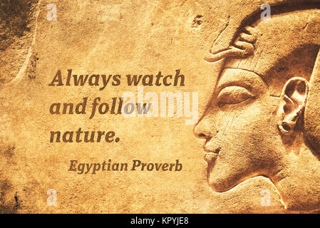 Always Watch And Follow Nature Ancient Egyptian Proverb Citation Stock Photo Alamy