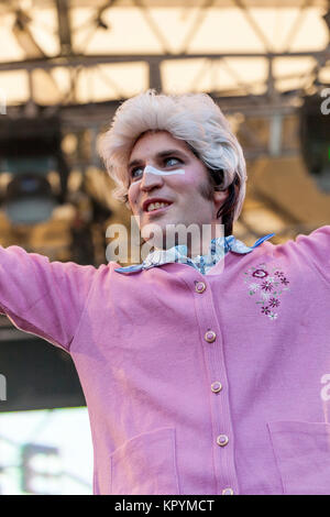 Noel Fielding, The Mighty Boosh, The Big Chill, 2008 Stock Photo