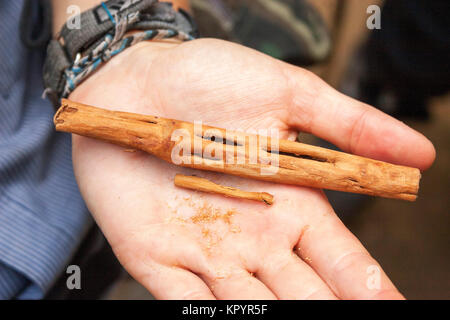 Cinnamon  from rural Sri Lanka Stock Photo