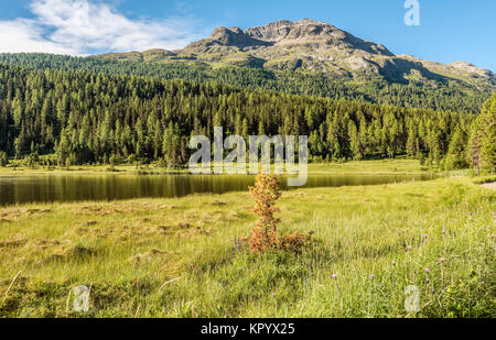 Summer Landscape at Lej da Staz (Lake Staz) , Engadine, Grisons, Switzerland Stock Photo