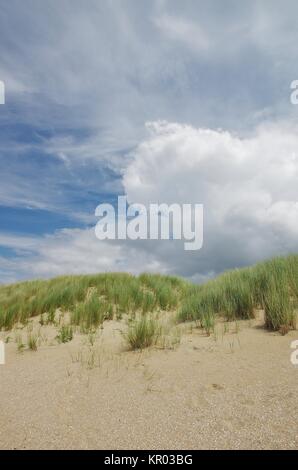 dunes on the beach in ouddorp,goeree-overflakkee,south netherlands Stock Photo