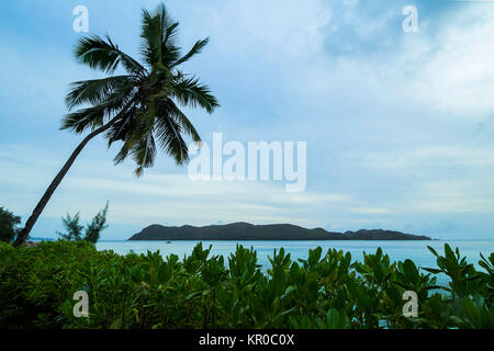 seychelles / praslin at anse boudin opposite curieuse island Stock Photo