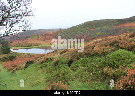 Sychnant Pass. Conwy Stock Photo