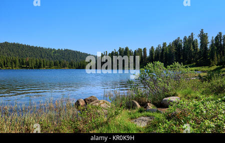 Shore of blue lake in taiga. Nature Park Ergaki. Western Sayan. Russia Stock Photo