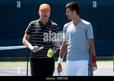 FLUSHING NY- AUGUST 28: Boris Becker, Novak Djokovic is sighted Day Four of the 2014 US Open at the USTA Billie Jean King National Tennis Center on August 28, 2014 in the Flushing neighborhood of the Queens borough of New York City.   People:  Boris Becker, Novak Djokovic Stock Photo