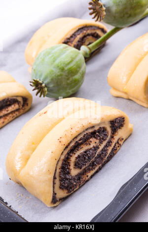 Raw Quick Poppy Seed Rolls Stock Photo