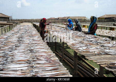 Bangladeshi day labors works in dry fish village at Najirtak in Cox's Bazar, Bangladesh Stock Photo