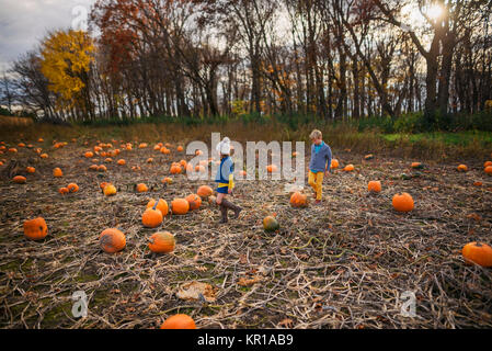 Boy and girl in a pumpkin patch Stock Photo