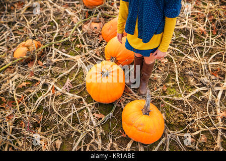 Girl standing in a pumpkin patch Stock Photo