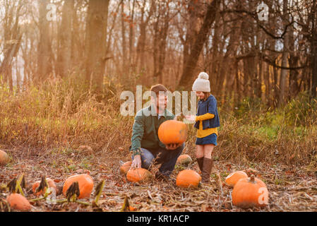 Father and daughter picking pumpkins in a pumpkin patch Stock Photo