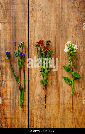 three wild flowers on wooden table graphic view Stock Photo