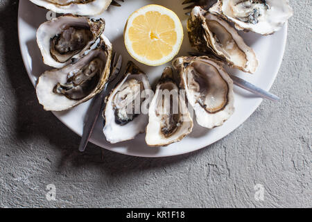 Oysters on the plate Stock Photo