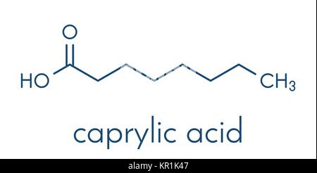 Caprylic (octanoic) acid molecule. Common saturated medium-chain fatty acid. Skeletal formula. Stock Vector