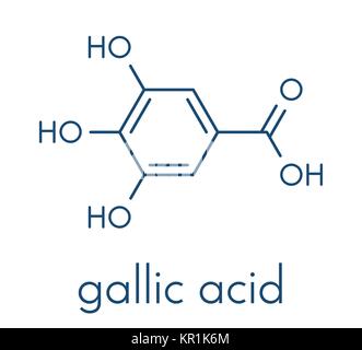 Gallic acid (trihydroxybenzoic acid) molecule. Present in many plants, including oak, tea and sumac. Both in the free form and is part of tannin compo Stock Vector