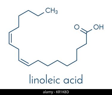 Linoleic acid (LA) molecule. Omega-6 polynsaturated fatty acid. Skeletal formula. Stock Vector