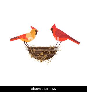 Red cardinal birds couple. Stock Vector