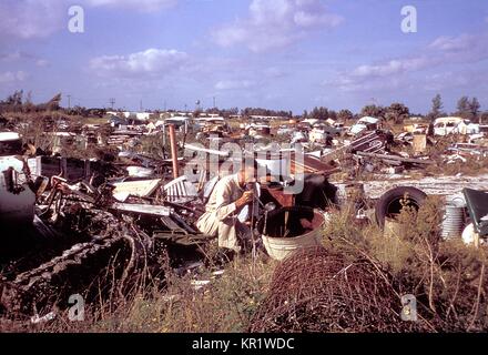 This photograph was taken during the 1965 Aedes Aegypti eradication program in Miami, Florida, 1965, 1965. In the 1960s, a major effort was made to eradicate the principal urban vector mosquito of dengue and yellow fever viruses, A. aegypti, from southeast United States. This field technician is looking for larvae in standing water containers. Image courtesy CDC. Stock Photo