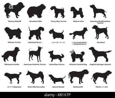Vector set of different breeds dogs silhouettes isolated in black color on white background. Part 5 Stock Vector