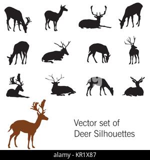 Set of vector standing and lying deer silhouettes isolated on white background Stock Vector