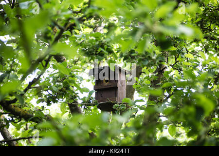 Little Birdhouse in Spring surrounded by green trees and boughs Stock Photo