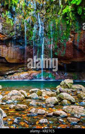 Waterfall in a canyon. Levada das 25 Fontes route. Madeira, Portugal, Europe. Stock Photo