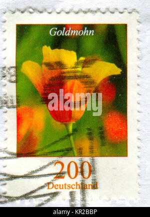 GOMEL, BELARUS, 15 DECEMBER 2017, Stamp printed in Germany shows image of the Goldmohn, circa 2017. Stock Photo