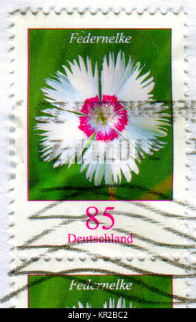 GOMEL, BELARUS, 15 DECEMBER 2017, Stamp printed in Germany shows image of the Federnelke, circa 2017. Stock Photo