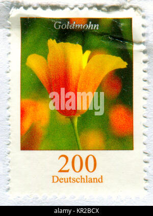 GOMEL, BELARUS, 15 DECEMBER 2017, Stamp printed in Germany shows image of the Goldmohn, circa 2017. Stock Photo