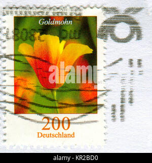 GOMEL, BELARUS, 15 DECEMBER 2017, Stamp printed in Germany shows image of the Goldmohn, circa 2017. Stock Photo