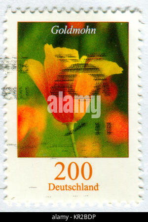 GOMEL, BELARUS, 15 DECEMBER 2017, Stamp printed in Germany shows image of the Goldmohn, circa 2017. Stock Photo