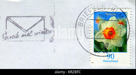 GOMEL, BELARUS, 15 DECEMBER 2017, Stamp printed in Germany shows image of the Narcissus, circa 2017. Stock Photo