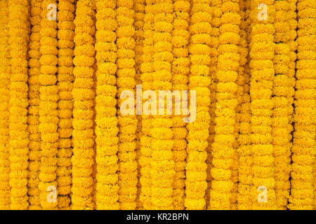 Yellow marigold flowers garland background Stock Photo
